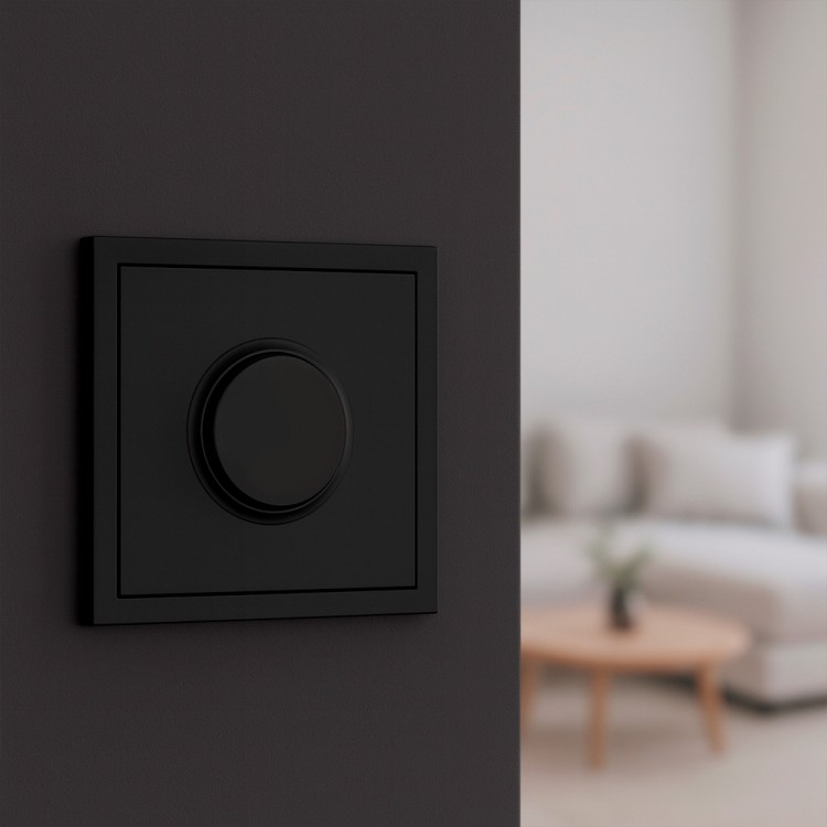 Світлорегулятор поворотний Ardero EV111D-B Soft 5-100W чорний