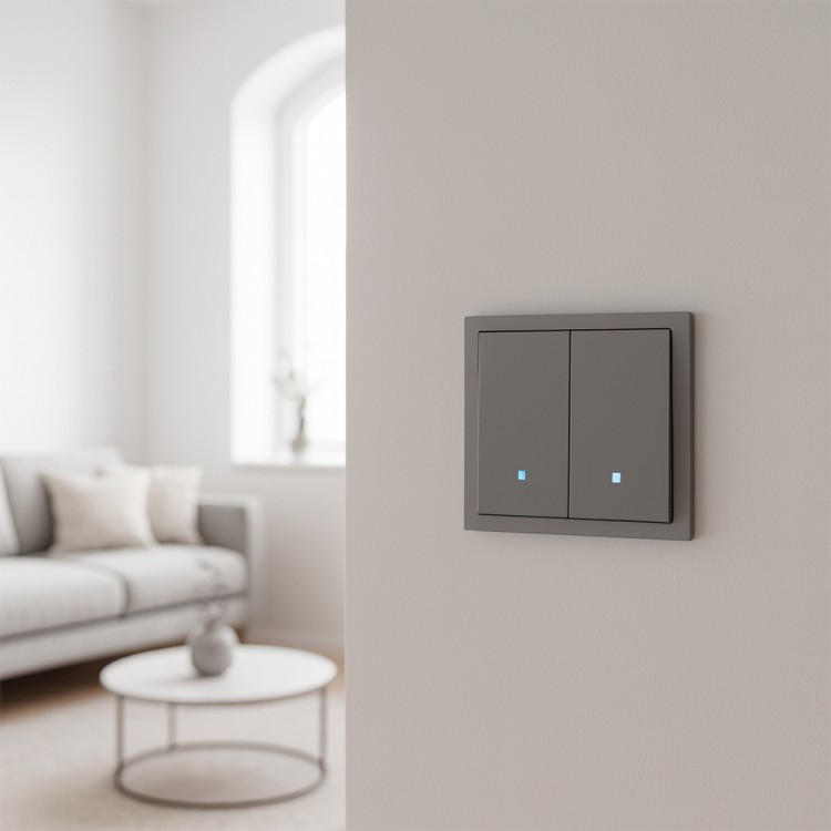 Вимикач 2-клавішний Ardero EV112L-G Soft 10А з підсвіткою сірий